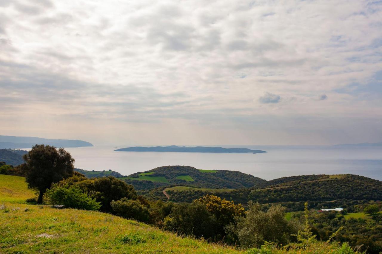Ayia Marina Suites Ouranoupoli Eksteriør bilde